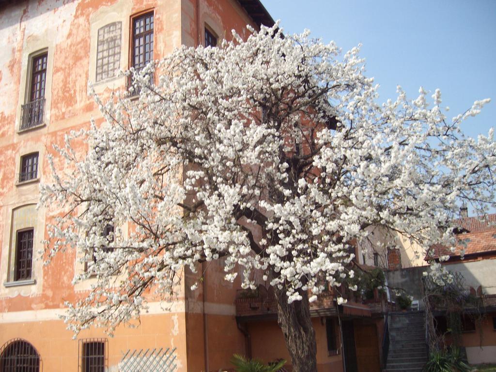 Il Castello Delle Meraviglie Fontaneto d'Agogna Kültér fotó